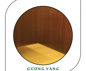 TẤM NHÔM NHỰA GƯƠNG VÀNG