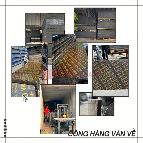 mua ván phủ phim tại TPHCM