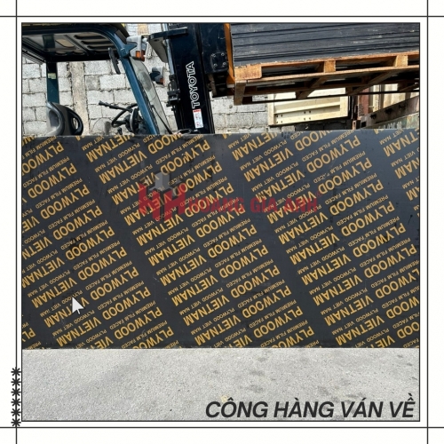 mua ván phủ phim tại TPHCM