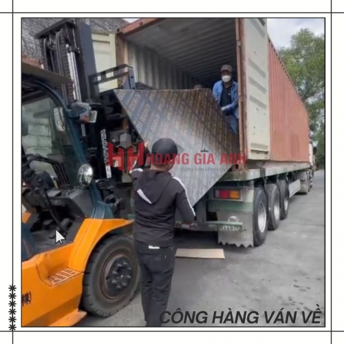 mua ván phủ phim tại TPHCM